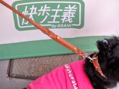 愛犬と雨宿り