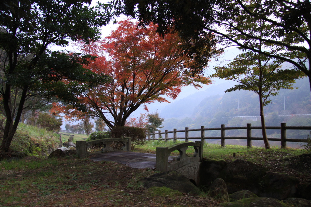 紅葉
