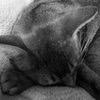 R0012137