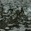 K3__0803
