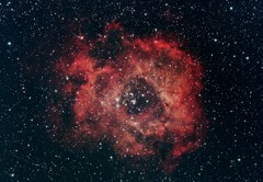 バラ星雲－3度目の正直