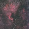 カリフォルニア星雲 ペリカン星雲-200mm