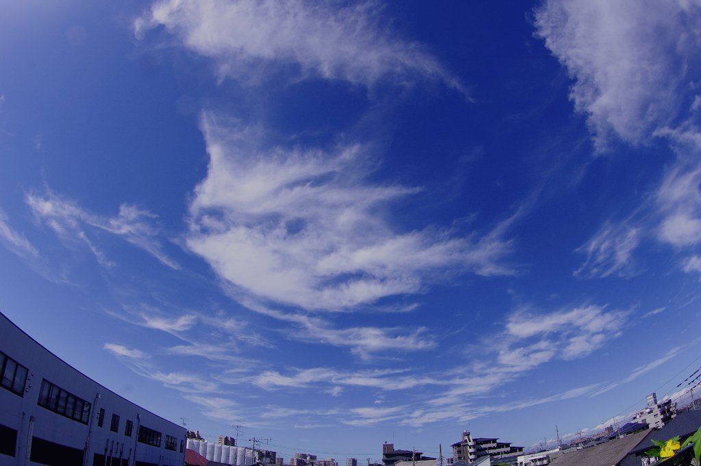 暑いけど秋の雲