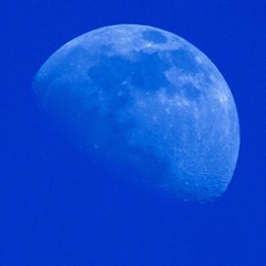 bluemoon