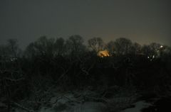 薄雪の朝