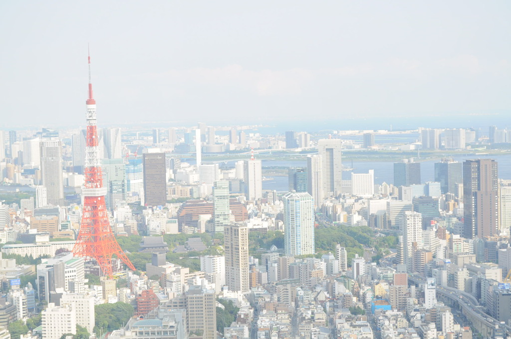 東京