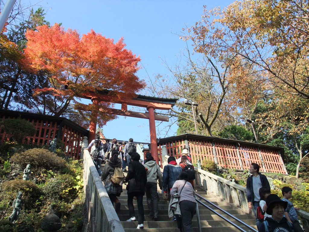 深まりいく秋の風景