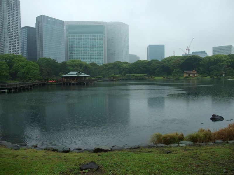 雨の浜離宮⑥