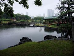 雨の浜離宮②