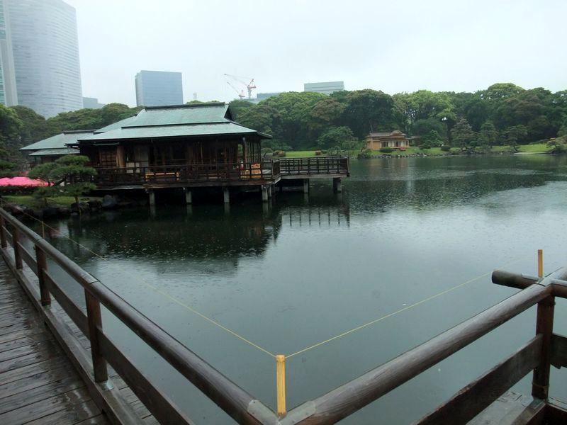 雨の浜離宮④