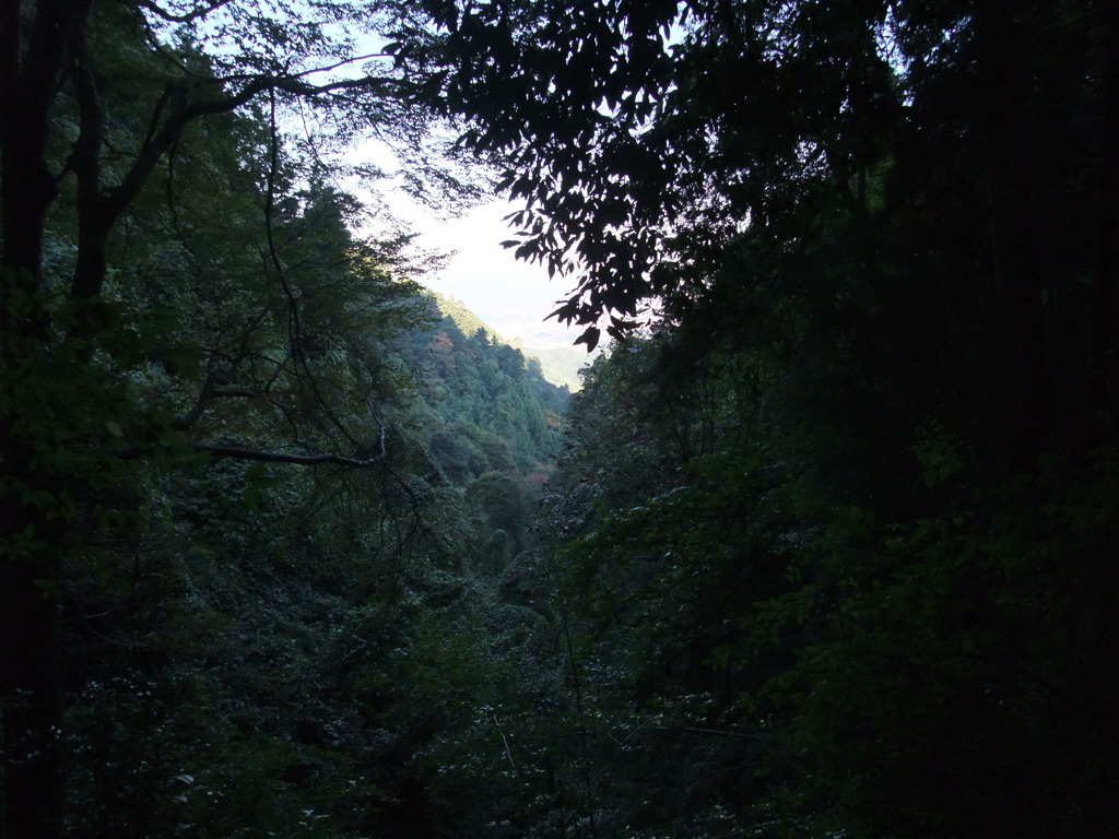 林道より垣間見える地上