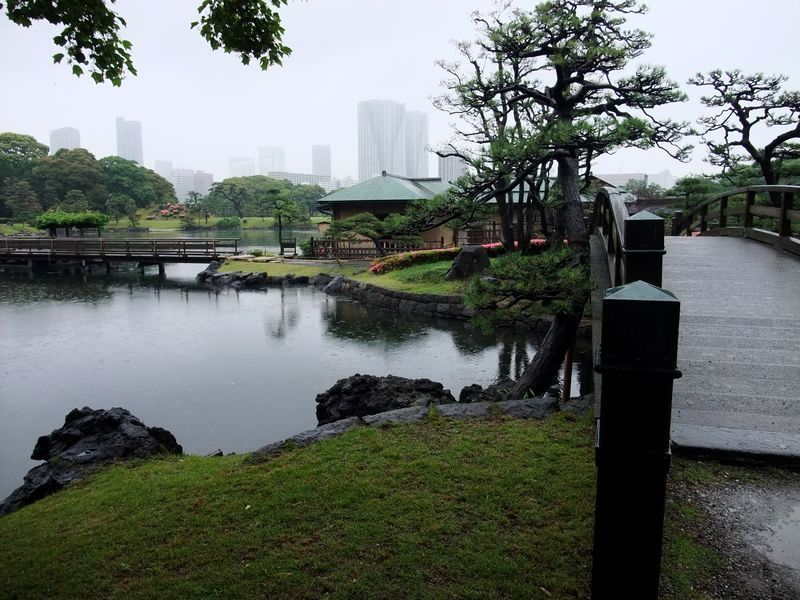 雨の浜離宮①