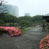 雨の浜離宮③