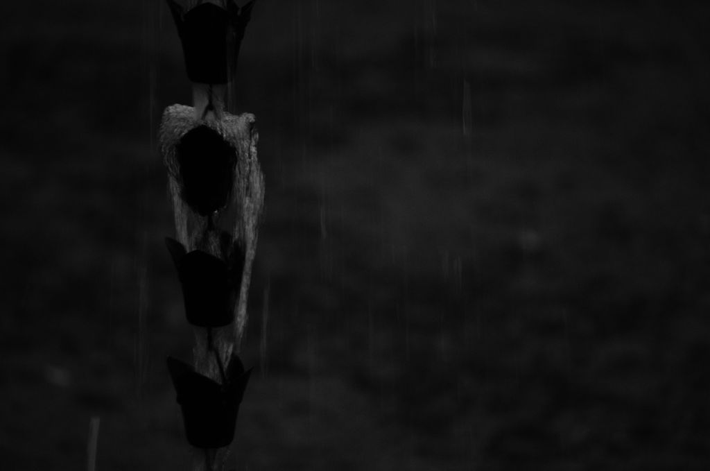 雨の日の静けさ