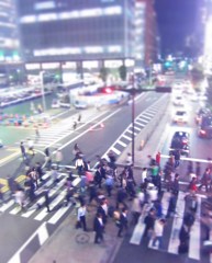 横断歩道