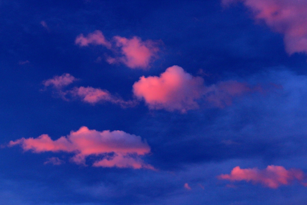 浮かれた雲