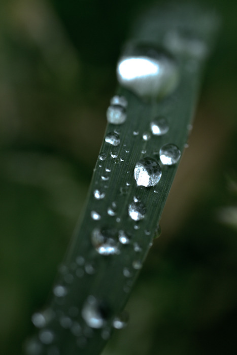 梅雨時の渋滞-3771