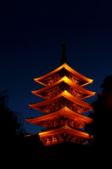 1008五重塔(縦)