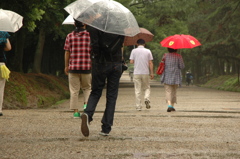 雨の奈良　その三