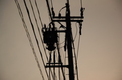 電柱