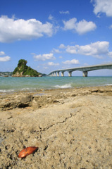 沖縄の風景
