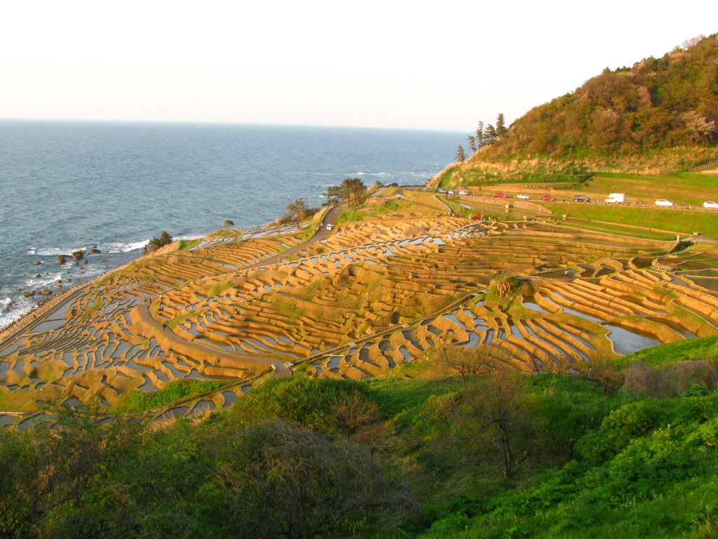 白米千枚田