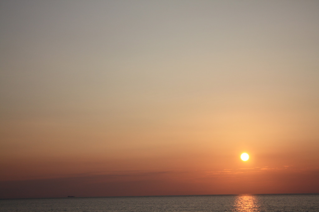 夕日1