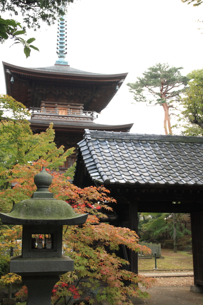 豪徳寺 秋色の始まり 2015-4