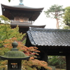 豪徳寺 秋色の始まり 2015-4