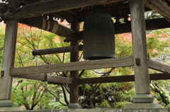 2015 東漸寺　紅葉始動 1