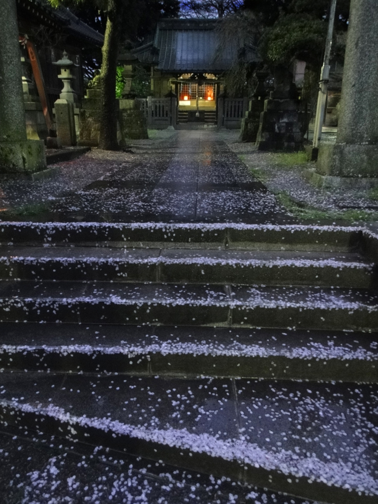 桜の石段