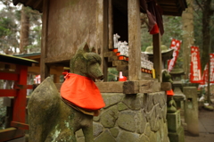 鎌倉　佐助稲荷神社の稲荷