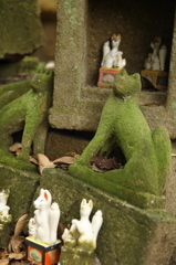 鎌倉　佐助稲荷の稲荷