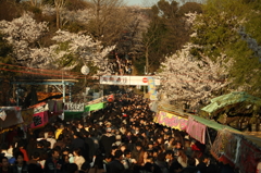 上野公園　花見の賑わい