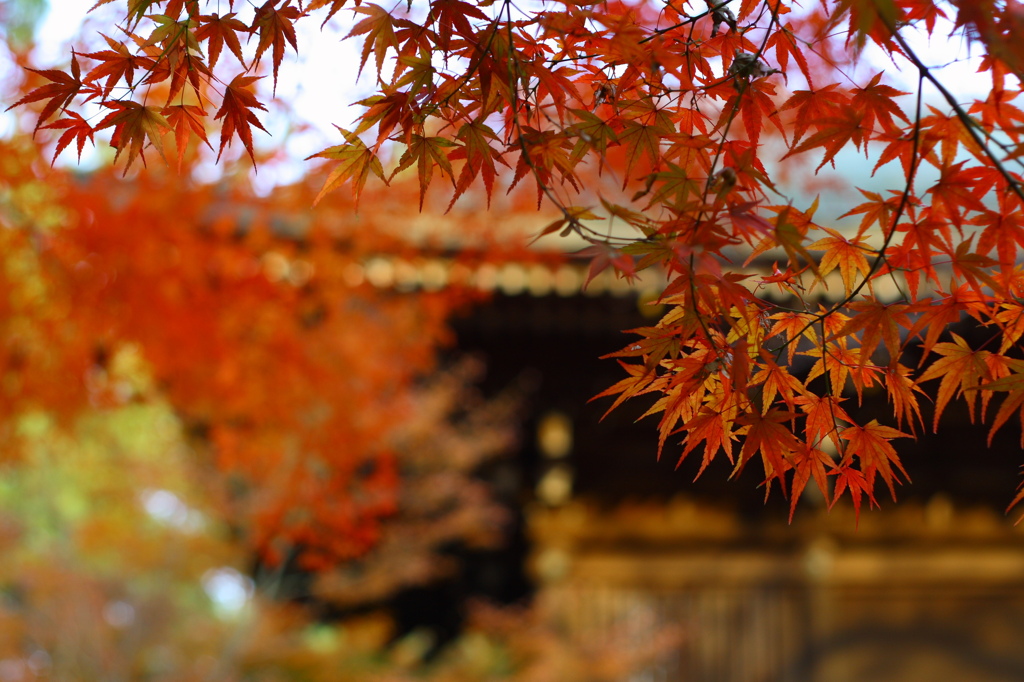 東漸寺