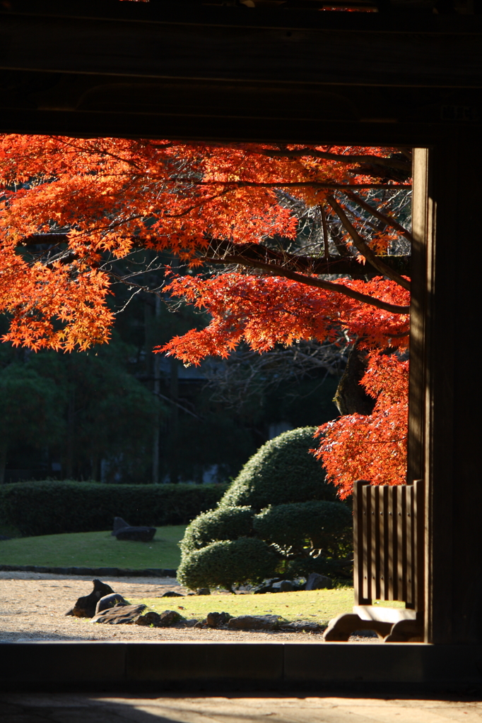 紅の門