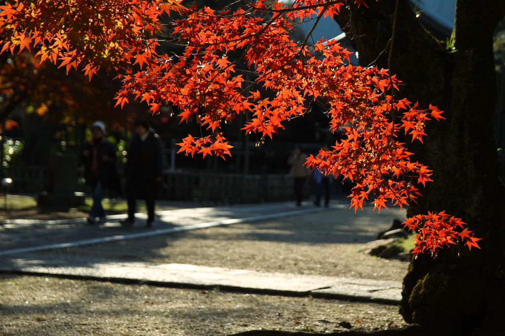 東漸寺2