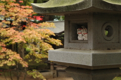 豪徳寺 秋色の始まり 2015-3