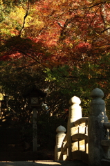 紅の天