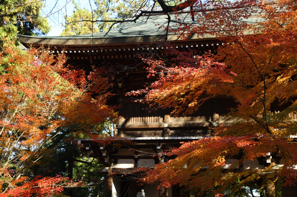 東漸寺1