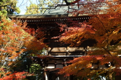 東漸寺1