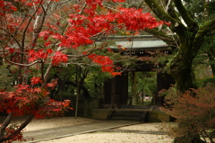 2015 東漸寺　紅葉始動 2