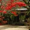 2015 東漸寺　紅葉始動 2