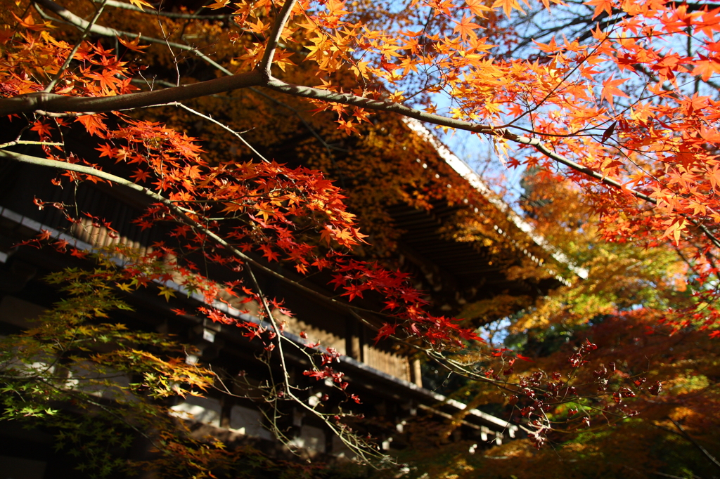 東漸寺3