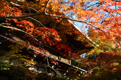 東漸寺3