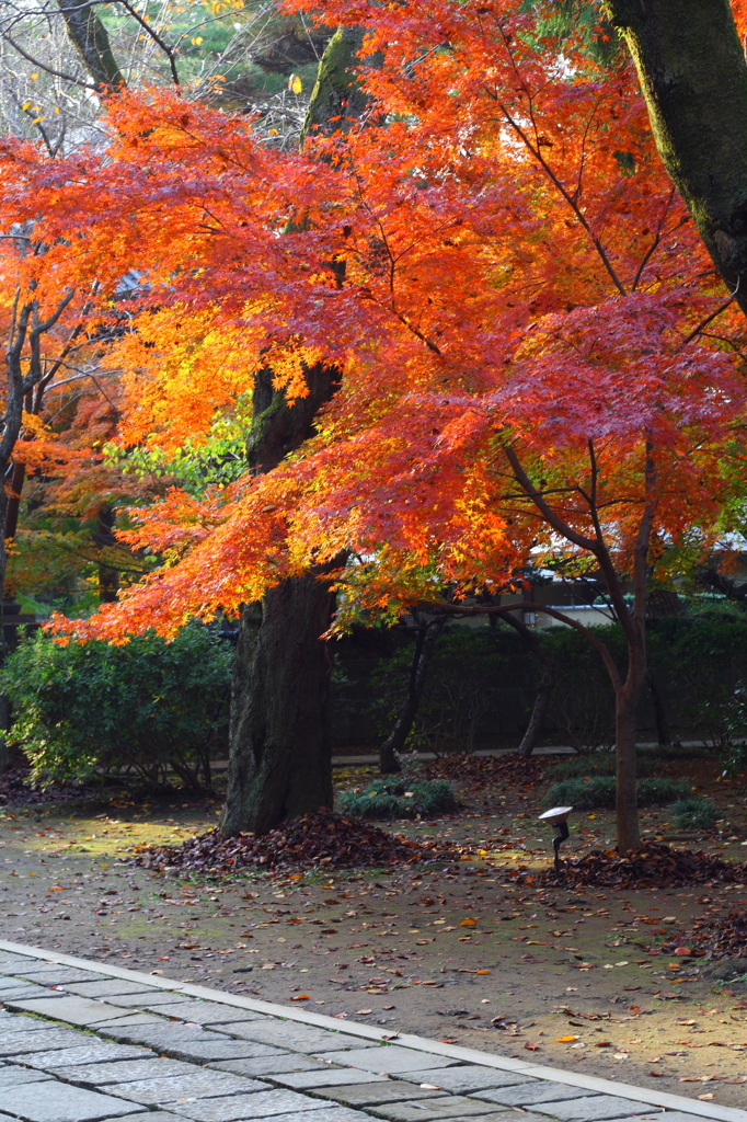 東漸寺