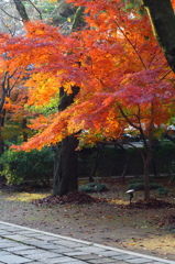 東漸寺