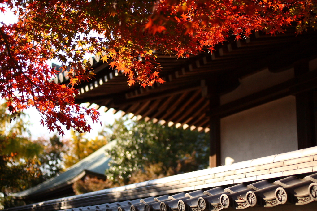 東漸寺　2011