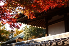 東漸寺　2011