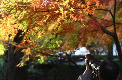 東漸寺